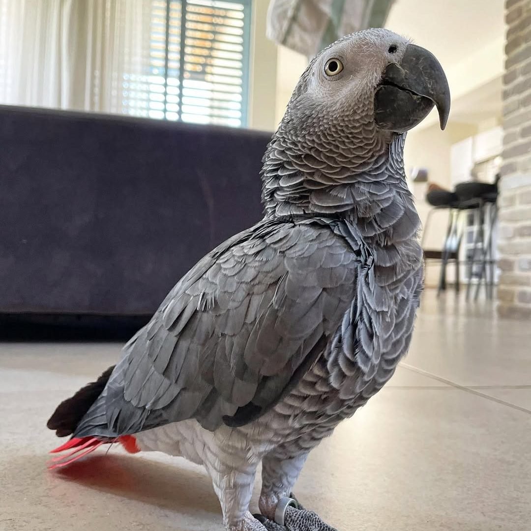 WhatsApp Image 2025-12-11 at 05.16.23 (1)